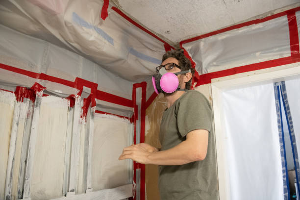 Best Dehumidification Services  in Lo, HI