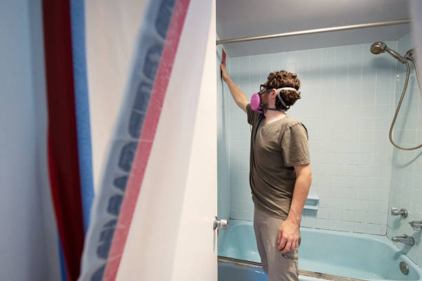 Best Commercial Mold Inspection  in Lo, HI
