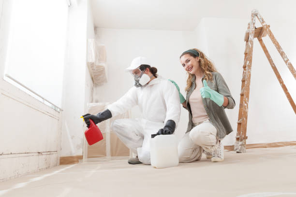 Best Black Mold Removal  in Lo, HI